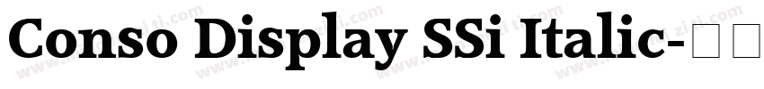 Conso Display SSi Italic字体转换